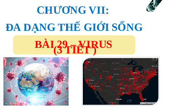 Giáo án điện tử Khoa học tự nhiên 6 bài 29 Kết nối tri thức : Virus