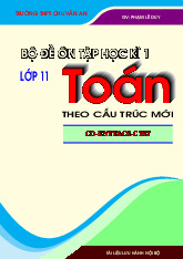 Bộ đề ôn tập kiểm tra cuối học kì 1 môn Toán 11 theo cấu trúc mới