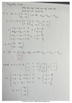 Bài tập toán dành cho kinh tế và quản trị (có lời giải)