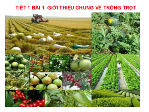 Bài giảng điện tử môn Công nghệ 7 Bài 1: Giới thiệu chung về trồng trọt (Tiết 1) | Cánh diều