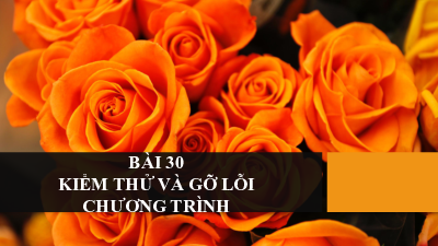 Bài 30: Kiểm thử và gỡ lỗi chương trình | Bài giảng PowerPoint môn Tin học 10 | Kết nối tri thức với cuộc sống