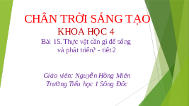 Giáo án điện tử Khoa học 4 Bài 15 Chân trời sáng tạo: Thực vật cần gì để sống và phát triển?