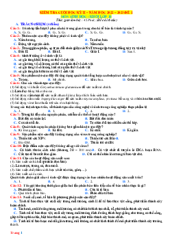 Đề kiểm tra học kỳ 2 Sinh 10 Chân trời sáng tạo-Đề 1 (có đáp án)