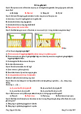 Đề ôn giữa kì 1 - Răng Hàm Mặt | Đại học Y Dược Thành phố Hồ Chí Minh