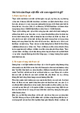 Vai trò của thực vật đối với con người là gì?