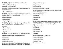 [TỔNG HỢP][CÓ KEY] TỔNG HỢP BỘ ĐỀ TRẮC NGHIỆM NGÀNH QTKD VÀ QL | Trường đại học Hải Phòng