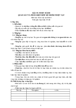 Giáo án Khoa học tự nhiên 6 sách Kết nối tri thức với cuộc sống Bài 35