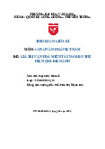 Giá trị văn hoá của miền Tây Nam Bộ | Tiểu luận Cơ sở văn hóa Việt Nam