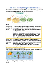 Giải SGK Khoa học lớp 5 Cánh diều Ôn tập chủ đề Thực vật và động vật