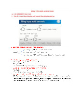 Tổng hợp Acid Benzoic - Báo cáo Thí Nghiệm Hóa Học 3.0