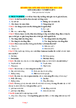 Đề thi giữa học kì 2 môn Khoa học tự nhiên 8 năm 2023 - 2024 sách KNTT - Đề 2