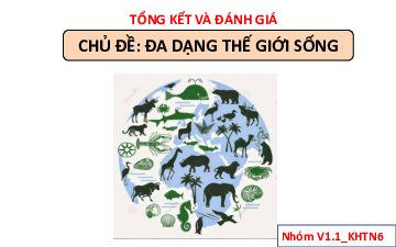 Bài tập chủ đề 8 | Bài giảng PowerPoint KHTN 6 | Cánh diều