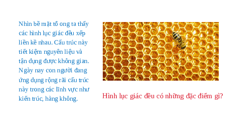 Giáo án điện tử Toán 6 Bài 18 Kết nối tri thức: Hình tam giác đều. hình vuông. hình lục giác đều (tiết 3)