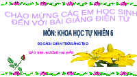 Giáo án điện tử Khoa học tự nhiên 6 bài 12 Chân trời sáng tạo : Nhiên liệu và an ninh năng lượng