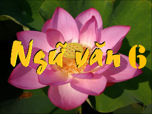 Bài 3.3: Trong lòng mẹ | Bài giảng PowerPoint Ngữ Văn 6 | Cánh diều