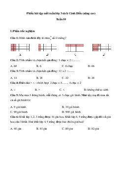 Phiếu bài tập cuối tuần Toán lớp 3 - Tuần 10 (nâng cao) |  Cánh Diều