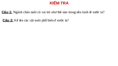 Giáo án điện tử Công nghệ 7 Bài 10 Kết nối tri thức: Nuôi dưỡng và chăm sóc vật nuôi