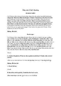 Tiếng Anh 6 Unit 5: Reading | Explorer English