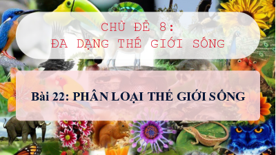 bai-22-phan loai the gioi song