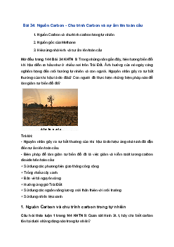Giải Khoa học tự nhiên 9 Chân trời sáng tạo Bài 34: Nguồn carbon. Chu trình carbon và sự ấm lên toàn cầu