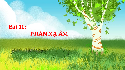 Giáo án điện tử Khoa học tự nhiên 7 Bài 11 Cánh diều:  Phản xạ âm