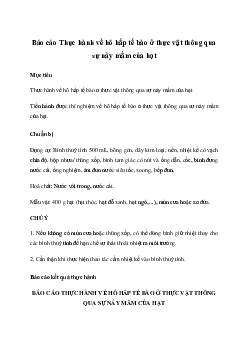 Giải Khoa học tự nhiên 7 Bài 26: Thực hành về hô hấp tế bào ở thực vật thông qua sự nảy mầm của hạt | Chân trời sáng tạo