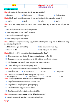 Đề kiểm tra học kỳ 1 môn Sinh 10 Kết nối tri thức-Đề 10 (có đáp án)