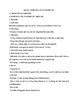 Tóm tắt lý thuyết Sinh học 10 bài 26: Sinh sản của vi sinh vật