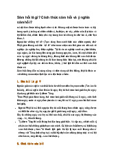 Sám hối là gì? Cách thức sám hối và ý nghĩa sám hối?
