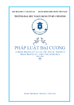 Tiểu luận: vi phạm phát luật và yếu tố cấu thành vi phạm pháp luật