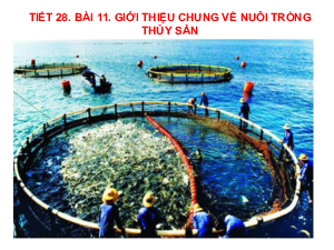 Bài giảng điện tử môn Công nghệ 7 Bài 11: Giới thiệu chung về nuôi trồng thuỷ sản (Tiết 28) | Cánh diều