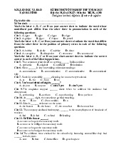 Đề thi thử tốt nghiệp THPT Tiếng Anh năm 2025 Sở GD Hà Tĩnh giải chi tiết