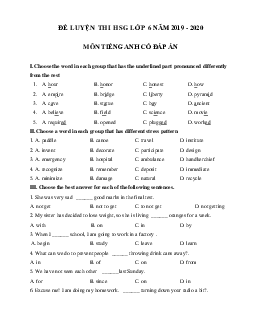 Đề thi học sinh giỏi tiếng Anh lớp 6 năm 2019 - 2020 số 7