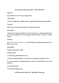 Giải Khoa học tự nhiên 7 Bài 30: Sinh trưởng và phát triển ở thực vật | Cánh diều