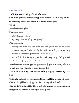 Giải Khoa học tự nhiên 8 bài 37: Hệ thần kinh và các giác quan ở người | Kết nối tri thức