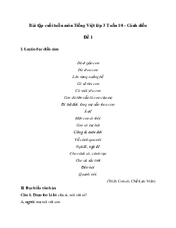 Bài tập cuối tuần lớp 3 môn Tiếng Việt Cánh diều - Tuần 10