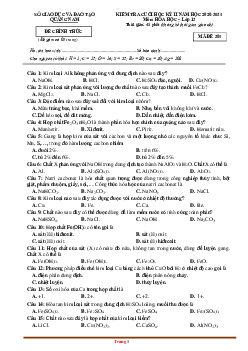 Đề thi học kỳ II năm học 2020-2021 môn hóa 12 Sở GD Quảng Nam Mã đề 301 (có đáp án)
