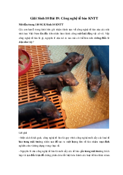 Giải Sinh 10 Bài 19: Công nghệ tế bào | Kết nối tri thức