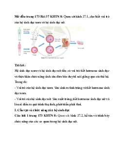 Giải Khoa học tự nhiên 8 bài 37: Sinh sản ở người | Cánh diều