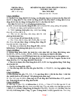 Đề kiểm tra học sinh giỏi lớp 9 tháng 1 năm 2020-2021 môn hóa 9 Trường THCS Nguyễn Khuyến (có lời giải)