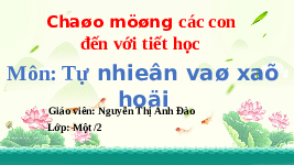 Giáo án điện tử Tiếng việt 1 bài 11 Chân trời sáng tạo: Nơi em sinh sống