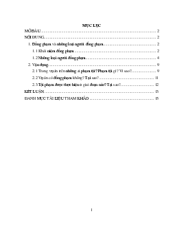 Đồng phạm, những quy định của pháp luật về đồng phạm | Tiểu luận môn Luật hình sự
