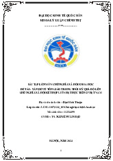 Bài tập lớn môn Chủ nghĩa xã hội khoa học  - trường đại học kinh tế Quốc dân.