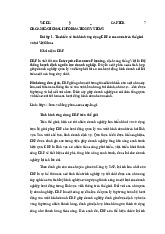Bài Tập1: Ứng Dụng ERP Toàn Cầu và Tại Việt Nam | Nhập môn hệ thống thông tin
