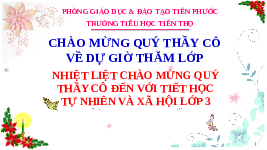 Giáo án điện tử TN&XH 3 Bài 16 Kết nối tri thức: Sử dụng hợp lí thực vật và động vật