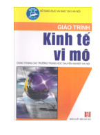 Giáo trình môn kinh tế vi mô | Đại học Kinh tế Thành phố Hồ Chí Minh
