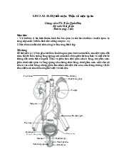 Tài liệu về Hệ tiết niệu: Thận và niệu quản môn Giải phẫu | Trường Đại học Y Hà Nội