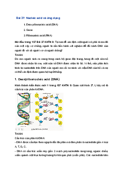 Giải Khoa học tự nhiên 9 Chân trời sáng tạo Bài 37: Nucleic acid và ứng dụng