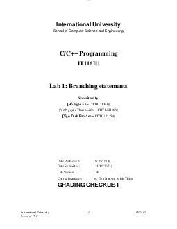 Lab Report Template For IT