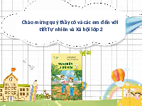 Giáo án điện tử Tự nhiên và Xã hội 2 Bài 1 Kết nối tri thức: Các thế hệ trong gia đình